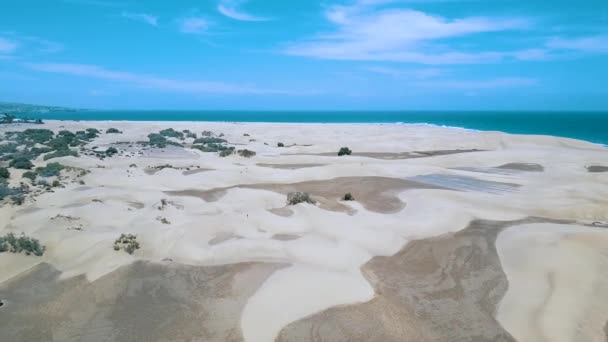 Aerial Från Maspalomas Sand Dunes Sanddynernas Kust Vid Atlanten — Stockvideo