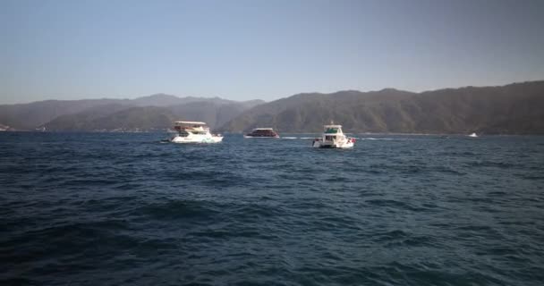 Ballenas Saltando Del Océano Junto Embarcaciones Puerto Vallarta México — Vídeos de Stock