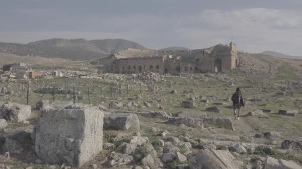 Πρόσωπο Που Βαδίζει Προς Ένα Ιστορικό Κολοσσαίο Ένα Χωράφι Γεμάτο — Αρχείο Βίντεο