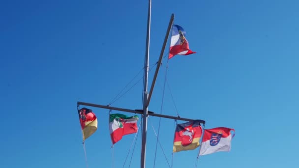 Drapeaux Dans Vent Avec Une Mouette Volante — Video