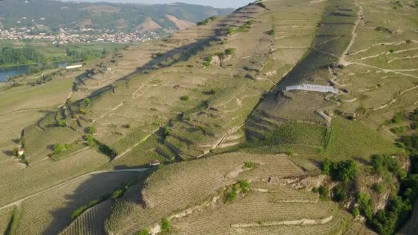 Terrasvormige Wijngaard Bij Zonsopgang Franse Rhône Vallei Luchtfoto — Stockvideo