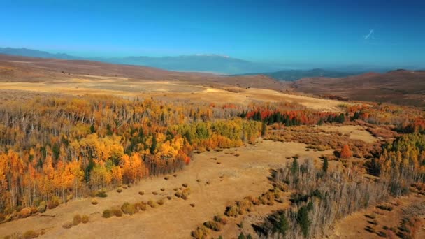 Forest Autumn Colors Mammoth Lakes California Usa Terugtrekken Vanuit Lucht — Stockvideo