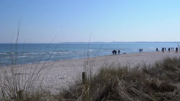 Folk Går Stranden Solig Dag — Stockvideo