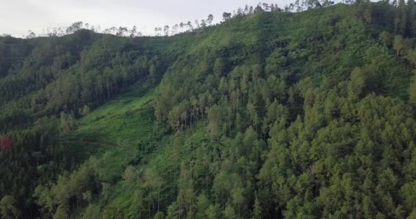 Drone Shot Toont Begroeide Struiken Planten Bossen Heuvel Overdag Behoud — Stockvideo