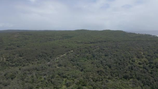 George Nothling Drive Conservation Area Dense Thicket North Stradbroke Island — Vídeo de Stock