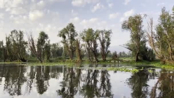 Mexico City Xochimilco Güzel Sabah Suyu Yansımaları — Stok video