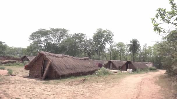 Inheemse Mensen Afgelegen Gebieden Van India Wonen Modderhutten Rieten Hutten — Stockvideo