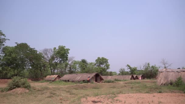 Indigene Völker Abgelegenen Gegenden Indiens Leben Lehmhütten Und Strohhütten — Stockvideo
