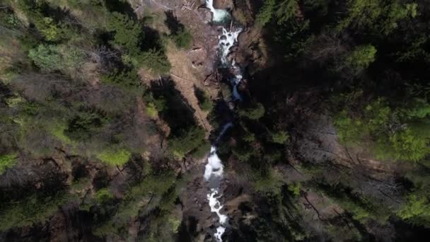 スイスの深い峡谷や滝の川のトップダウンドローンビュー — ストック動画