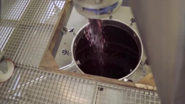 Измельченный Виноград Попадающий Резервуар Нержавеющей Стали Процесс Брожения — стоковое видео