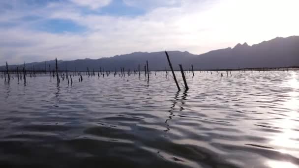 Barajda Ölü Ağaç Mezarlığı Gövdeler Kısmen Sular Altında Günbatımı Dronu — Stok video