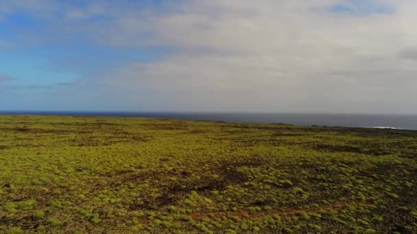 Paisaje Plano Verde Cerca Del Océano Atlántico Azul Isla Lanzarote — Vídeos de Stock