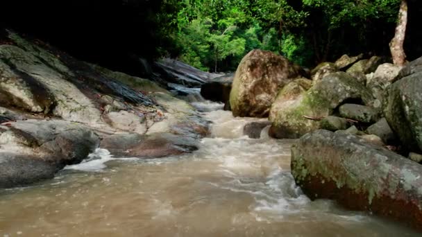 Río Que Fluye Través Rocas Piedra Arroyo Agua Dulce Una — Vídeos de Stock