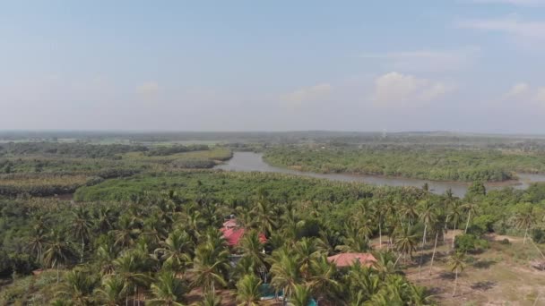 Wilde Dschungel Landschaft Sri Lanka — Stockvideo