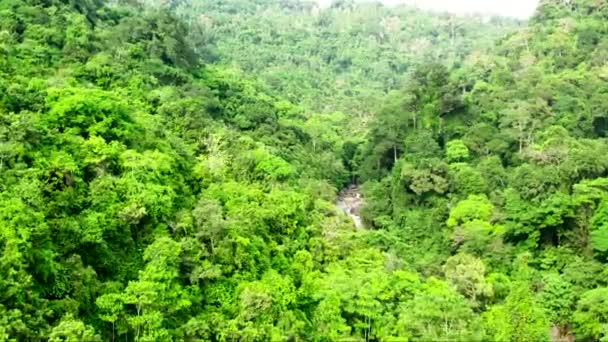 Vista Aérea Densa Selva Tropical Samui Tailandia — Vídeos de Stock