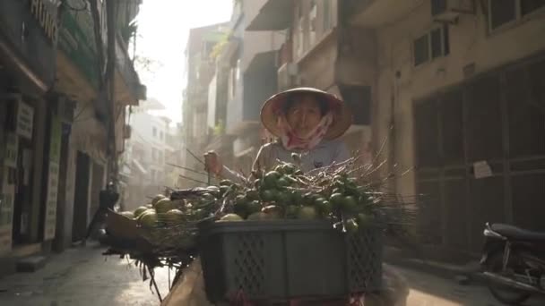 Jalan Hanoi Vendor Mendorong Gerobak Melalui Jalan Vietnam — Stok Video
