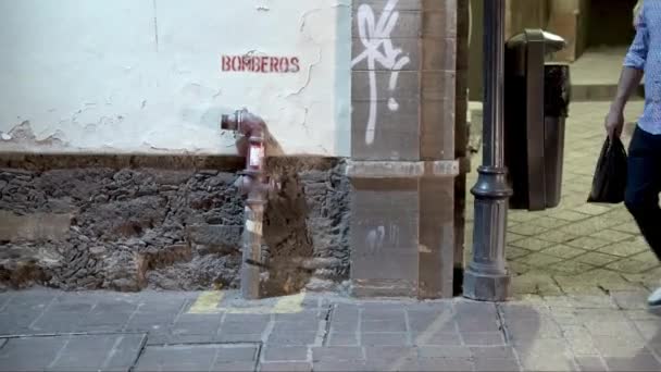 Coppia Innamorata Che Tiene Mano Nelle Strade Guanajuato Messico — Video Stock
