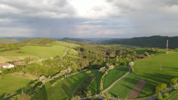 Prato Naturale Primaverile Prima Della Tempesta Nella Repubblica Ceca Bel — Video Stock