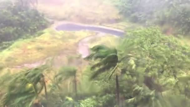 斐济南太平洋的一个窗口拍到了一场强烈的热带气旋 棕榈树在风中猛烈摇曳 雨点着窗户的玻璃 — 图库视频影像