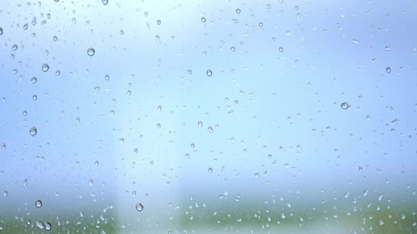 Rain Droplets Window Blurred Background — Vídeo de Stock