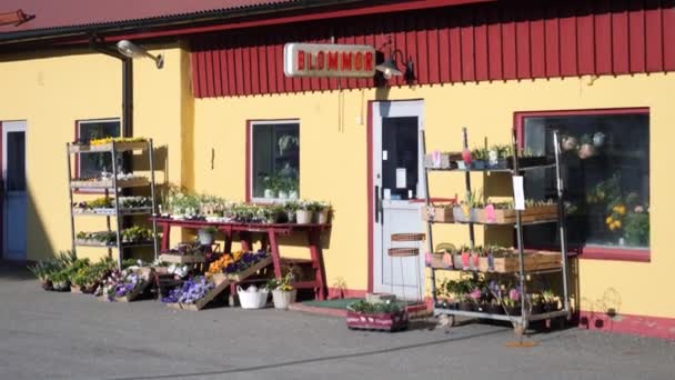 在瑞典 一辆带着红色屋顶和晨光的蓝色轿车在当地的瑞典小城镇花店里转悠 — 图库视频影像