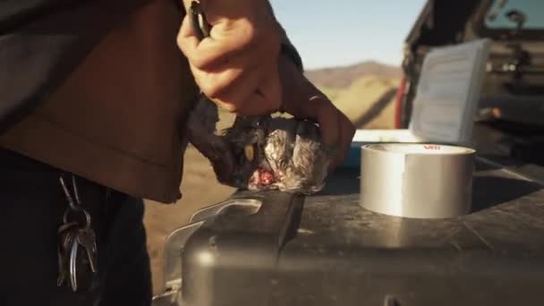 Skär Död Duva För Utomhus Falcon Träning Vid Solnedgången — Stockvideo