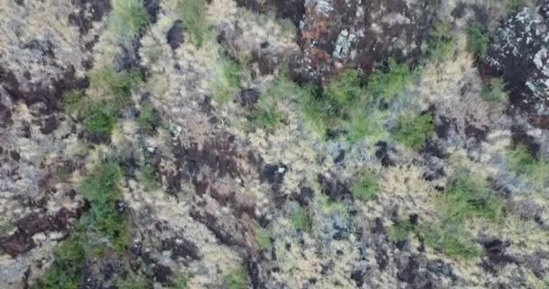 Drone Κλιπ Των Βουνών Oahu Από Ψηλά — Αρχείο Βίντεο