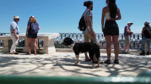 Turistas Con Perro Mirador Sao Pedro Alcantarda Lisboa Portugal — Vídeos de Stock