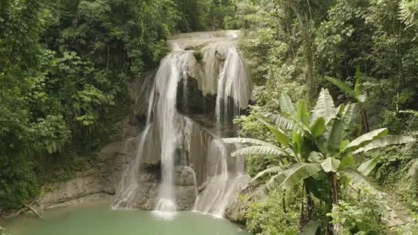 Amplo Drone Tiro Voando Para Fora Das Cachoeiras Gozalandia Floresta — Vídeo de Stock