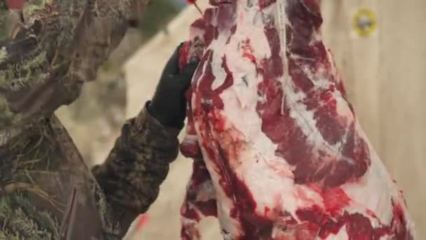 猎人在森林地板上剥去一只巴克的皮 — 图库视频影像