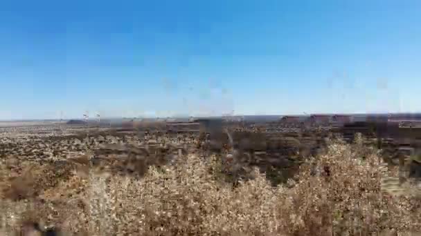 Tiro Longo Extremo Que Revela Clima Ventoso Ambiente Karoo Câmera — Vídeo de Stock