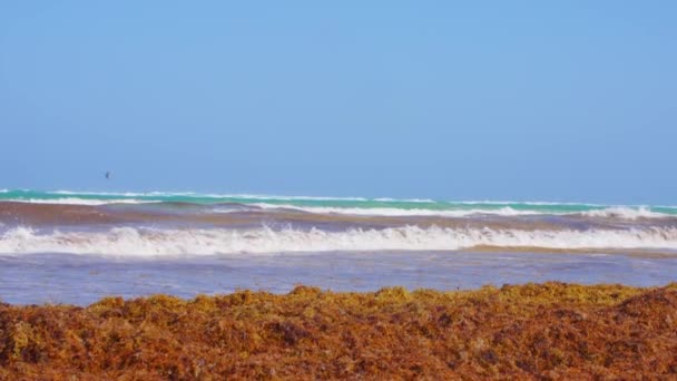 Slow Motion Long Close Establishing Shot Tropical Idyllic Caribbean Beach — Vídeos de Stock