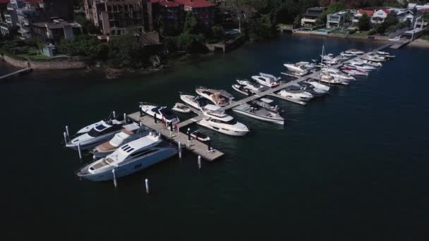Sydney Harbor Belo Dia Ensolarado Double Bay Com Barcos Céu — Vídeo de Stock
