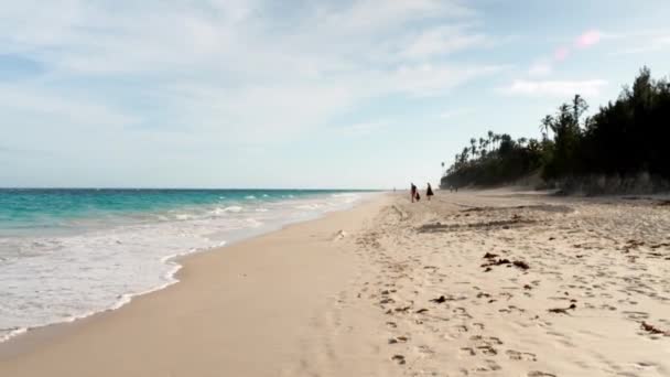 Elbow Beach Bermuda Pembe Kum Mavi Resiflerle — Stok video