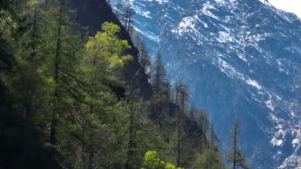 Les Odhalit Strmé Malebné Italské Alpy Úbočí Linií Stromů Dron — Stock video