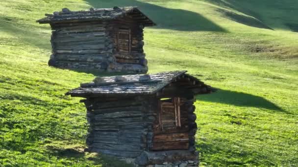阿尔卑斯山草甸上的两座旧木屋 — 图库视频影像
