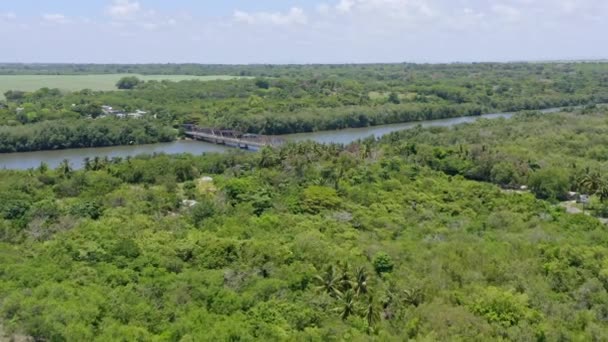 ドミニカ共和国のサンペドロ マコールで古代の橋に向かって飛んでいます 空中ドローンショット — ストック動画