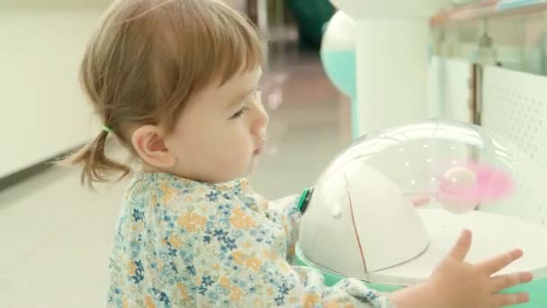 Liebenswertes Jähriges Kleinkind Lernt Kindermuseum Einen Knopf Drücken Eine Propellerdrehung — Stockvideo