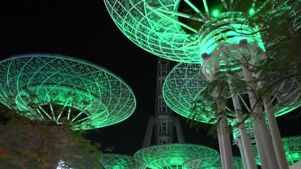 Dubai Super Trees Natten Glödande Futuristisk Installation Och Turistattraktion Förenade — Stockvideo