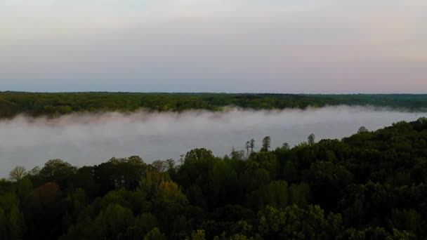 Nebbia Sul Lago Mattino — Video Stock