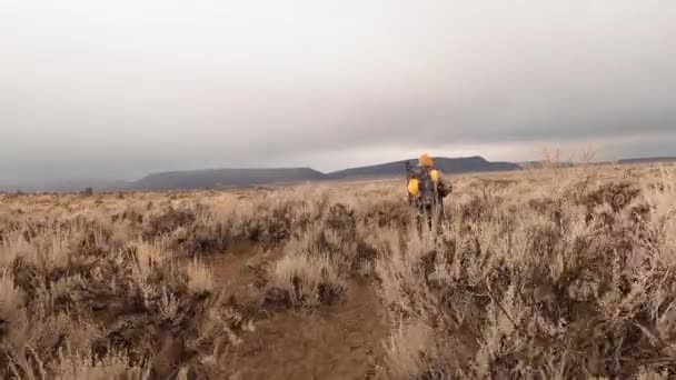 Närmar Sig Jägare Kamouflage Går Med Sitt Gevär Redo Bushland — Stockvideo