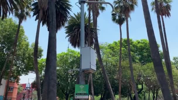 Δωρεάν Wifi Είσοδος Στο Lamppost Στο Πάρκο Της Πόλης Του — Αρχείο Βίντεο