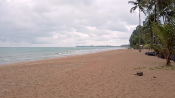 Natural Sea Wave Water Foam Sandy Beauty White Beach Summer — Stock video