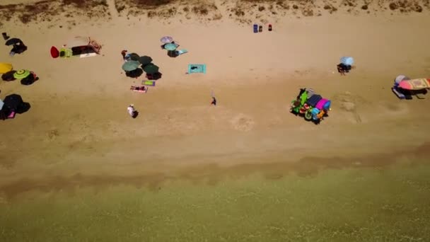 Widok Góry Mavic Drone Plaży Puglia Włoszech Możesz Zobaczyć Parasole — Wideo stockowe