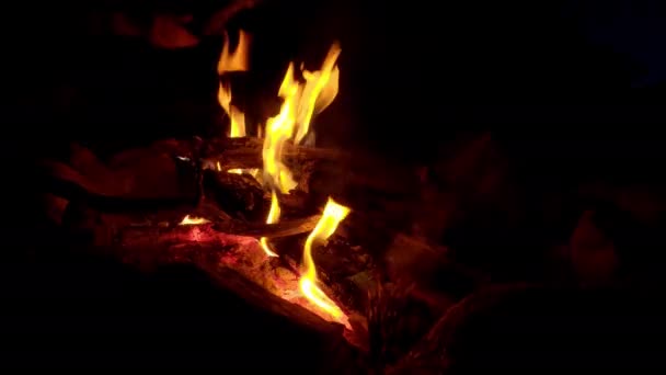 Πρόσωπο Προσθέσετε Κάποια Ξύλα Στην Καύση Campfire Camping Concept — Αρχείο Βίντεο