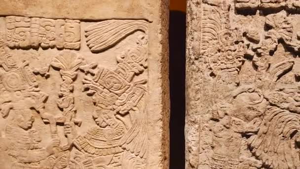 Maya Stele Als Exponat Museum Für Anthropologie Und Geschichte Mexiko — Stockvideo