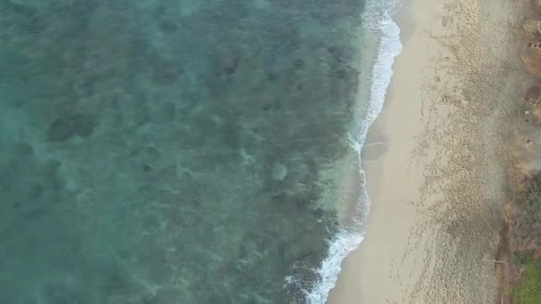 砂浜に沿った澄んだ海の岩の海床の概要 — ストック動画