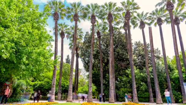 Ingresso Del Giardino Nazionale Atene Con Palme Turisti Che Passeggiano — Video Stock