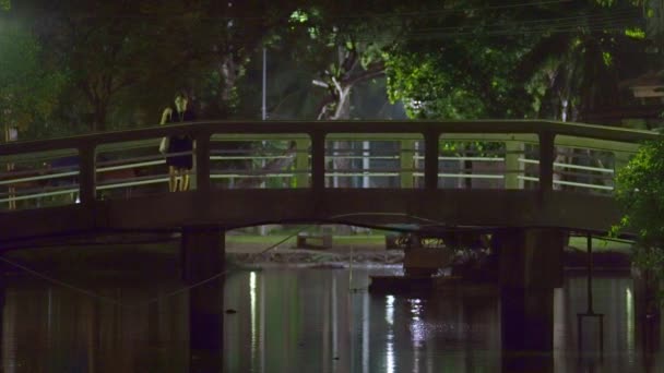 Woman Standing Bridge Public Park Night Wide Shot — Video