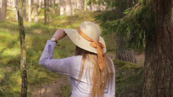 阳光明媚的日子 戴着帽子在森林里寻找迷失的人的女人 — 图库视频影像